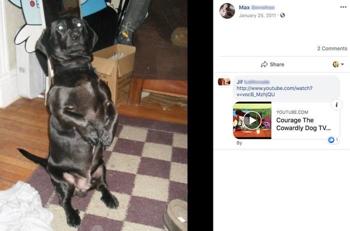 A Woman Got Locked Out Of Her Dog's Facebook And Facebook Is Asking For Her Dog's Driver's License To Access It