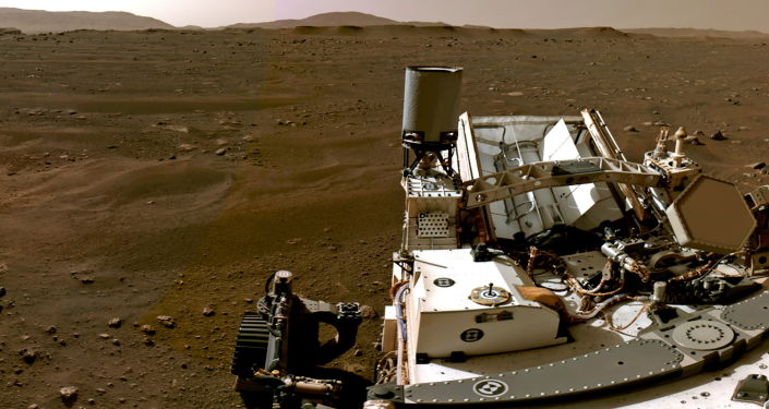 Any Life ‘Discovered’ on Mars Likely to Have ‘Hitchhiked’ From Earth, Scientist Warns