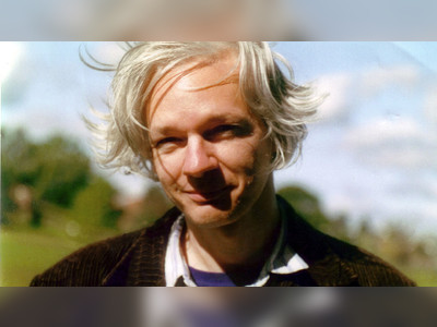 Julian Assange: From liberal darling to public enemy no. 1