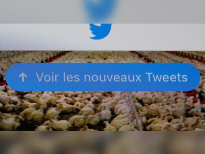 Twitter loses appeal in French online hate speech case